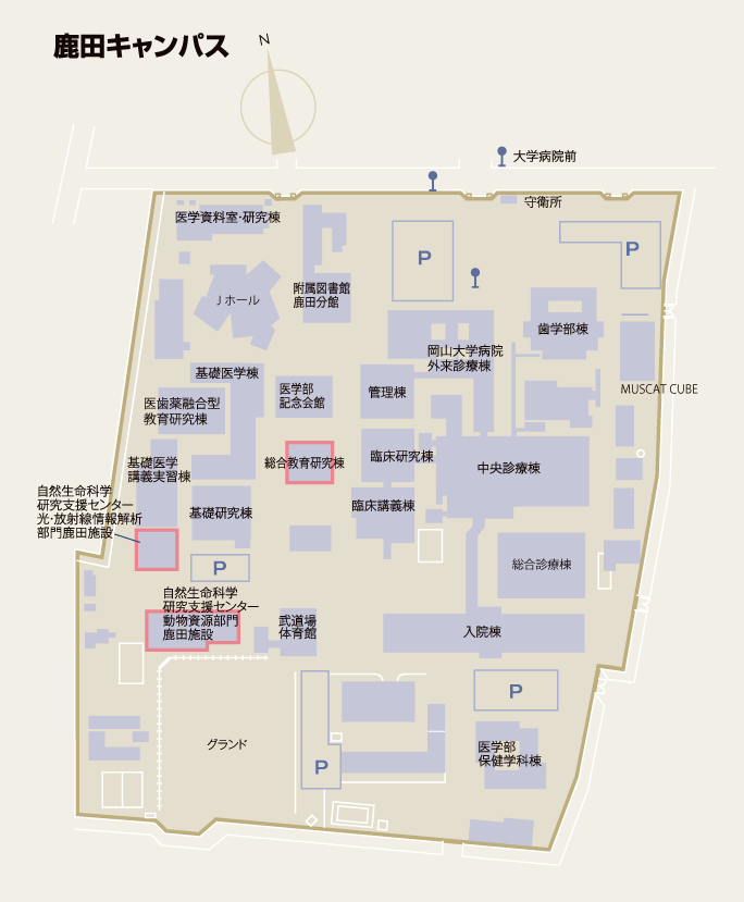 キャンパス配置図