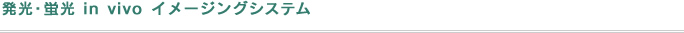 発光・蛍光 in vivo イメージングシステム