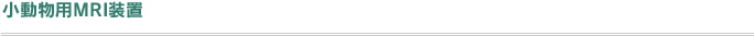 小動物用MRI装置